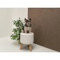 FFL Folie FL GRAIN VELVET Mocha 2600x1000x1.2 mm SA